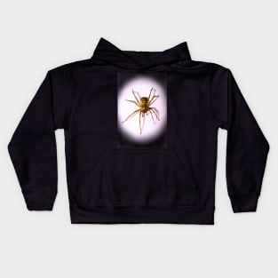 Intruder Kids Hoodie